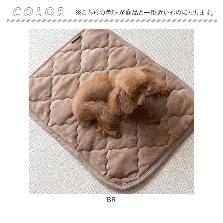 プレミアムフランネルペットパッド M | BACKYARD FAMILY | 詳細画像10 