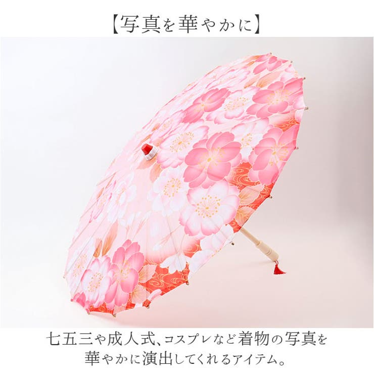 和傘 撮影用 和風 インテリア | BACKYARD FAMILY | 詳細画像5 