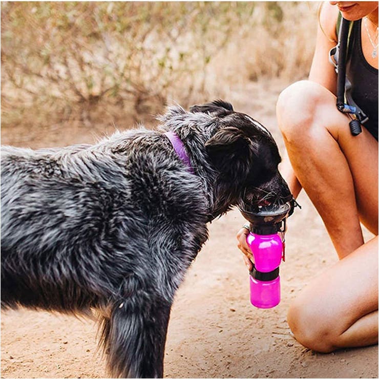 ペット 水飲み 水筒 | BACKYARD FAMILY | 詳細画像3 