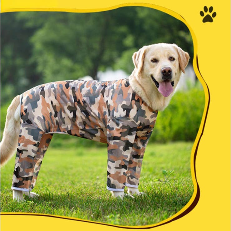 犬の服