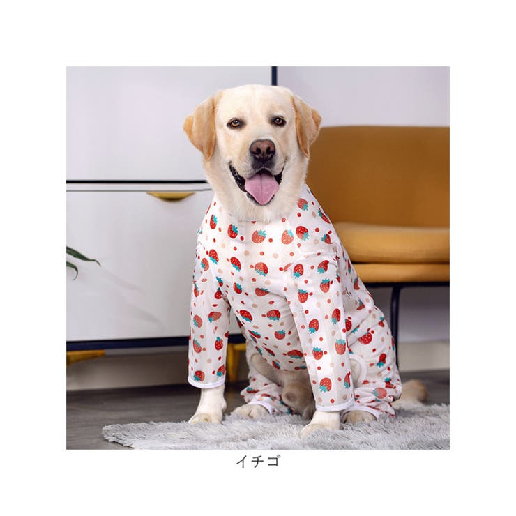 犬の服