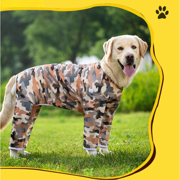 犬の服