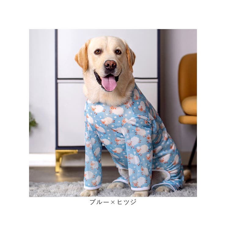 犬の服