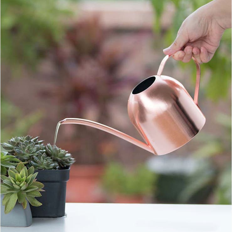 室内 おしゃれ 金属 じょうろ | BACKYARD FAMILY | 詳細画像10 