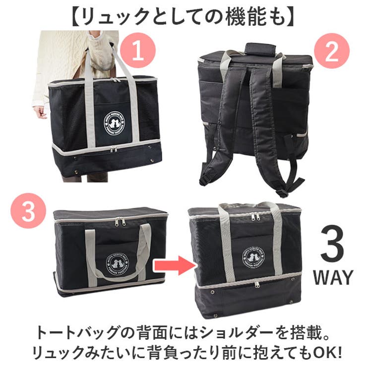 ペット