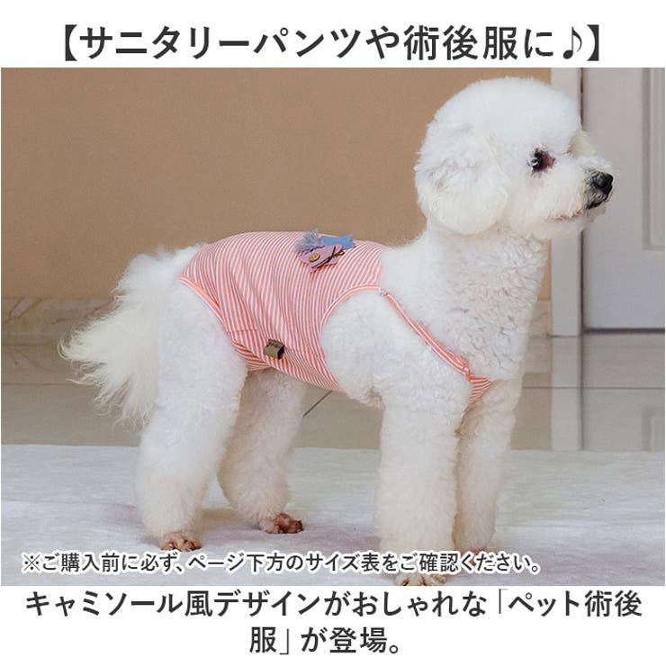 サニタリーパンツ