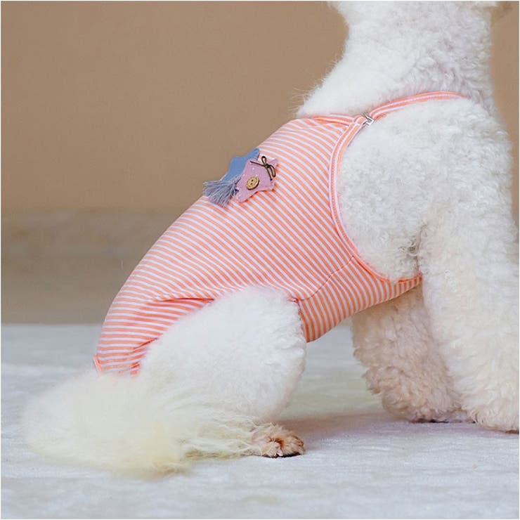 サニタリーパンツ