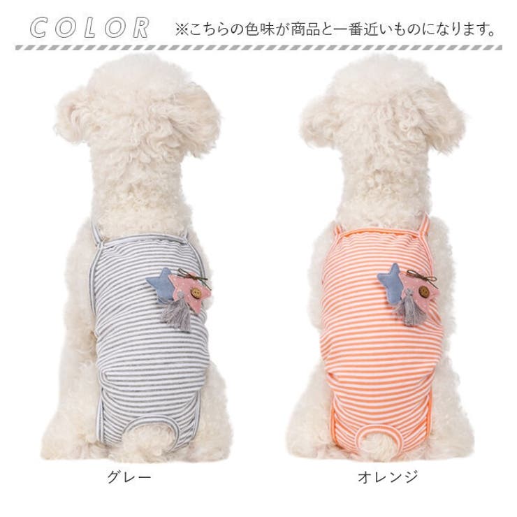 サニタリーパンツ