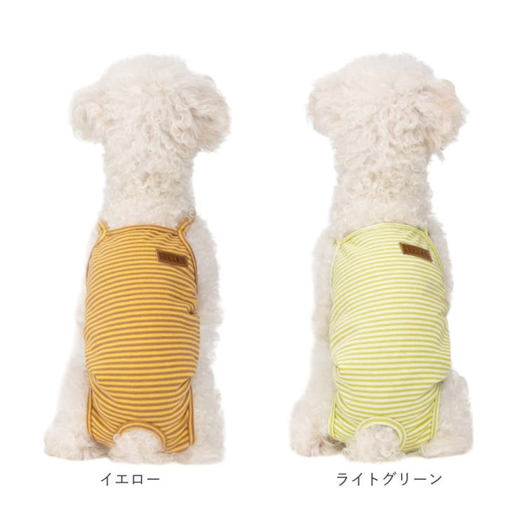 サニタリーパンツ