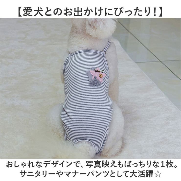 サニタリーパンツ
