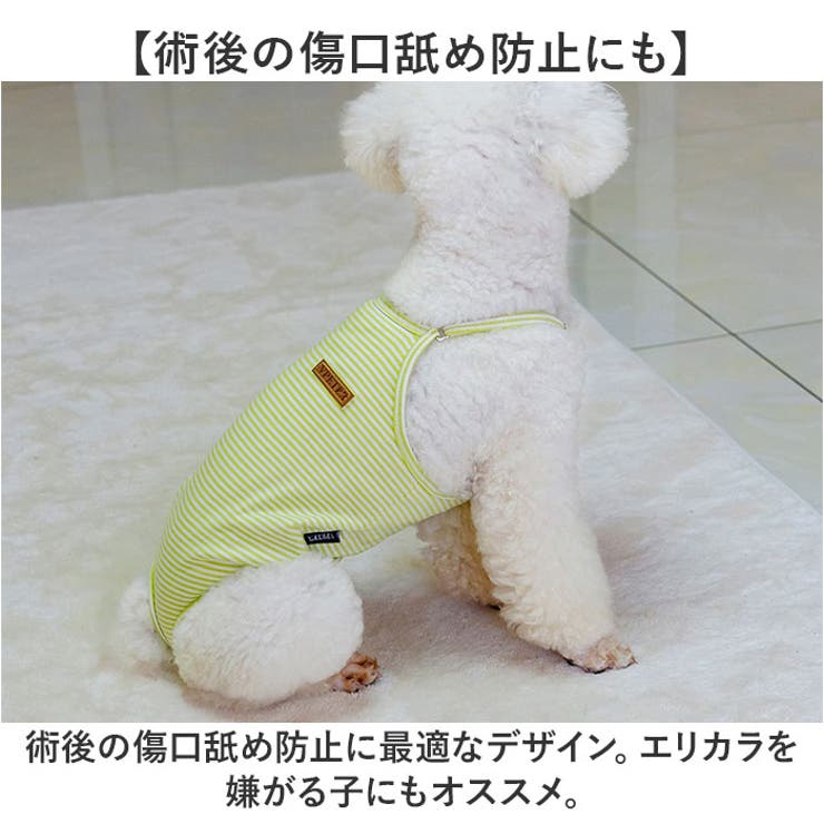 サニタリーパンツ
