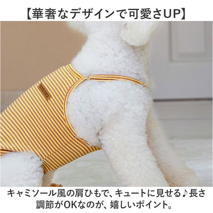 サニタリーパンツ