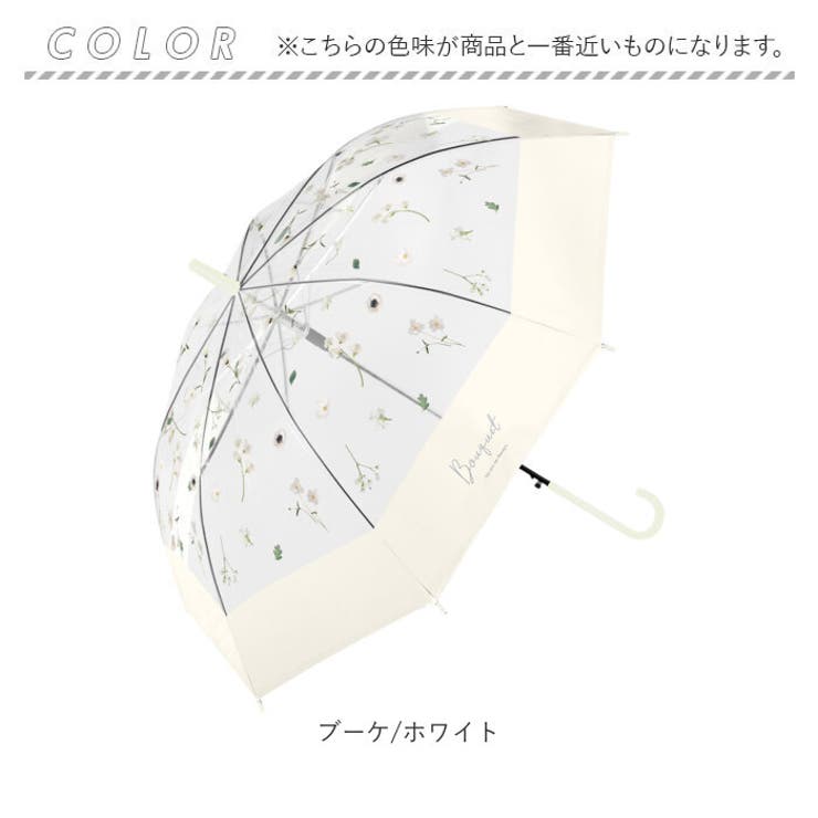 ブリアサヴァラン　美味礼賛　白水社版　箱ビニールカバー付き単行本 ブリアサヴァラン 美味礼賛 白水社版 箱ビニールカバー付き