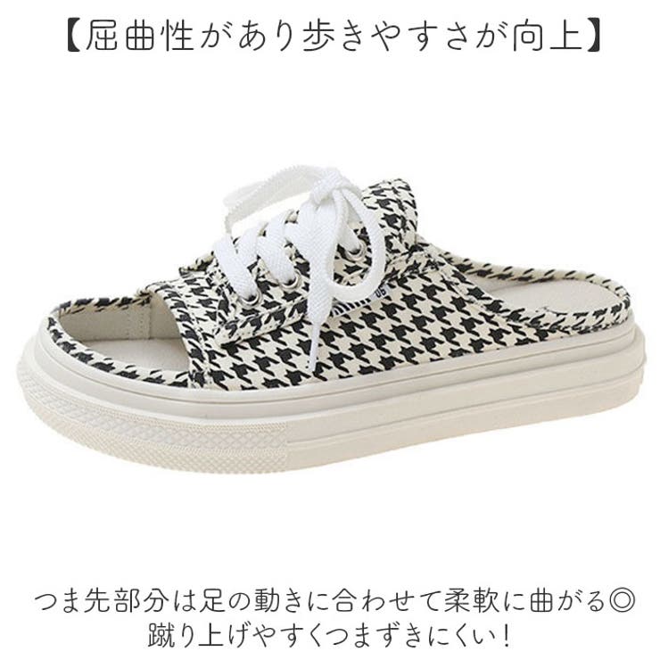 キャンバス