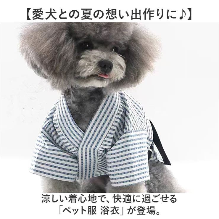 ペット服 浴衣 かわいい | BACKYARD FAMILY | 詳細画像2 