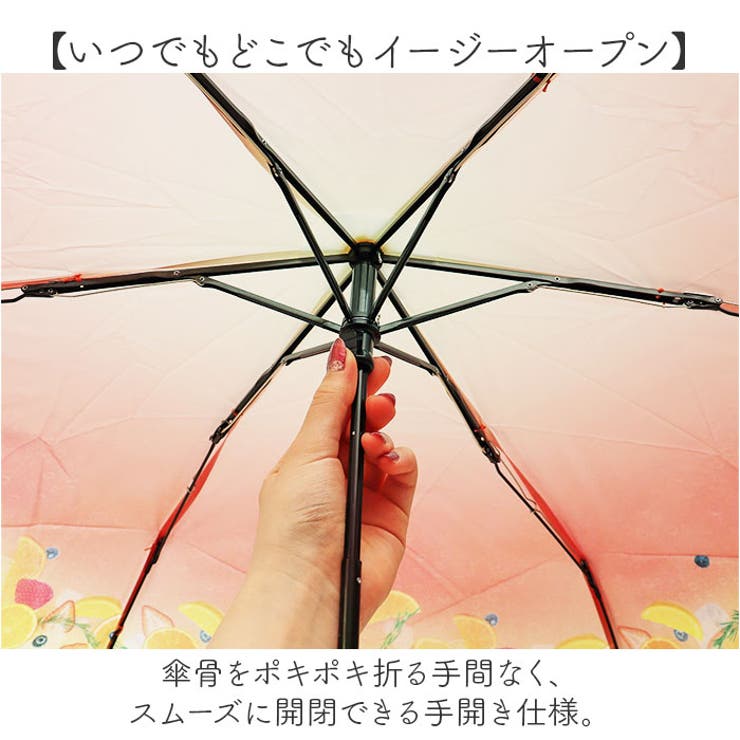 because ビコーズ クリアアンブレラ 折りたたみ傘 | BACKYARD FAMILY | 詳細画像4 