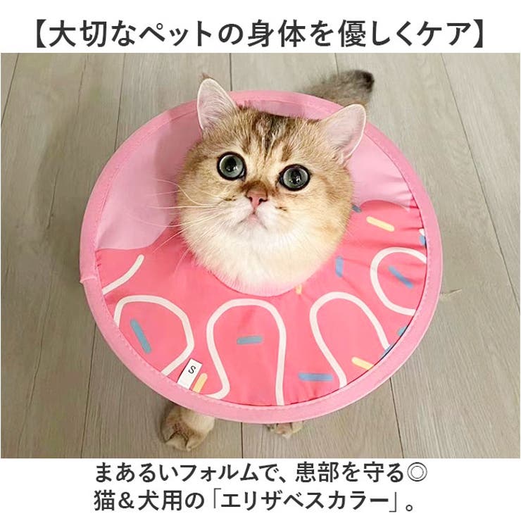エリザベスカラー