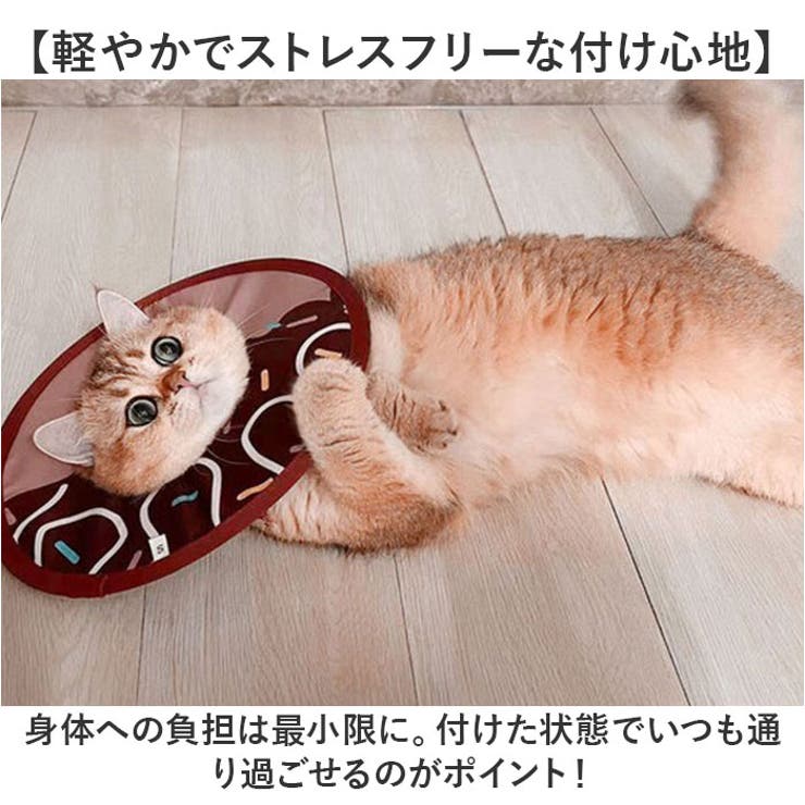 エリザベスカラー