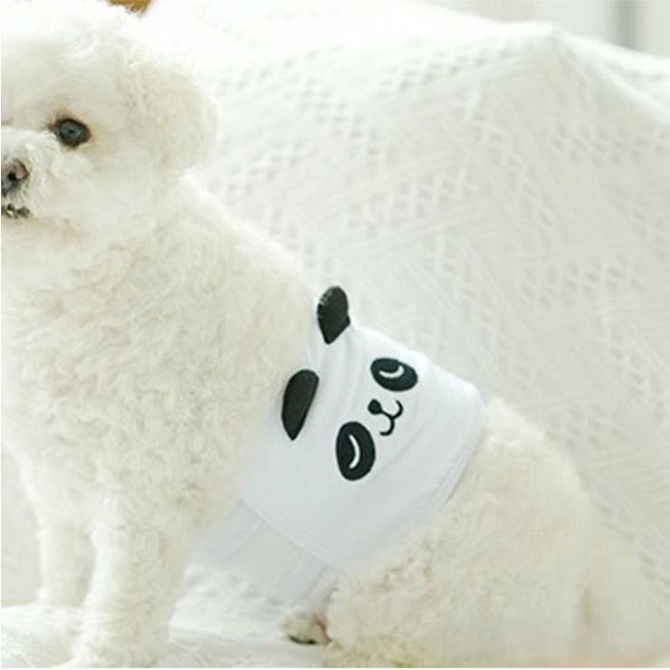 犬