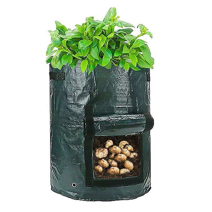 植え袋 プランター PE10ガロン | BACKYARD FAMILY | 詳細画像10 