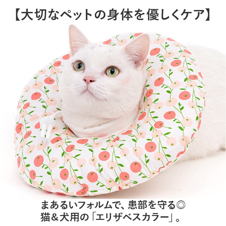 エリザベスカラー