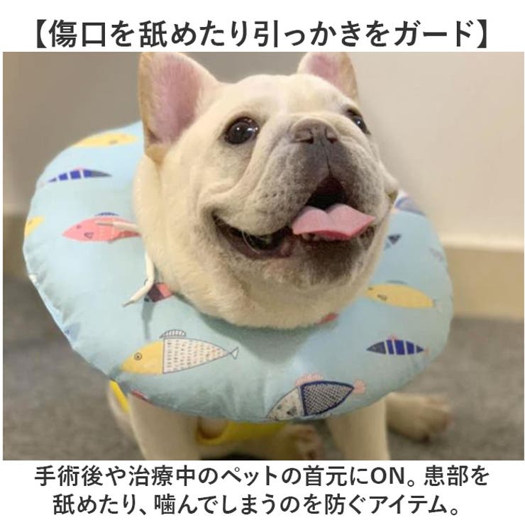 エリザベスカラー