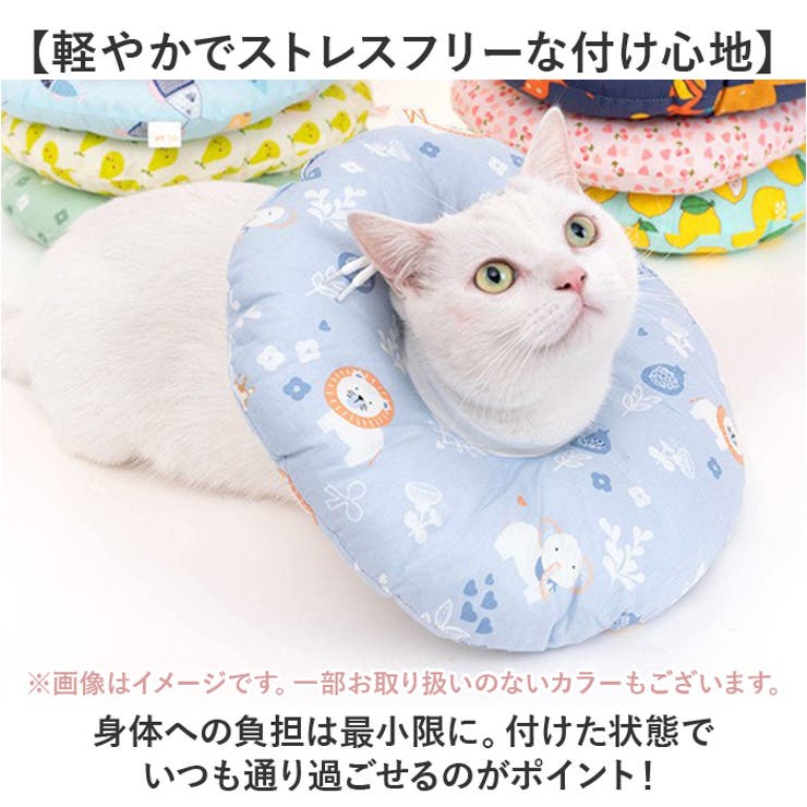 エリザベスカラー