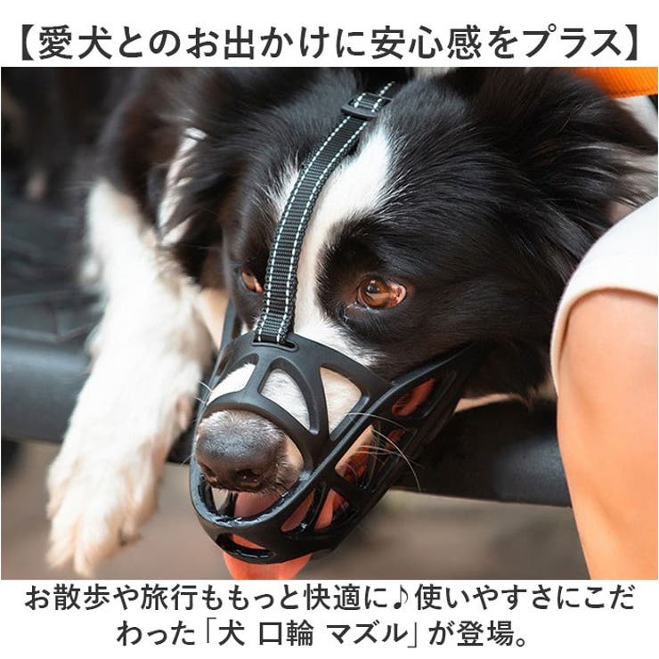 犬 口輪 マズル | BACKYARD FAMILY | 詳細画像2 