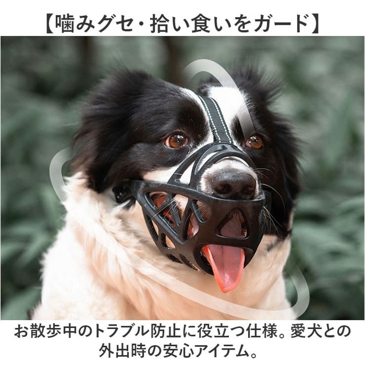 犬 口輪 マズル | BACKYARD FAMILY | 詳細画像5 