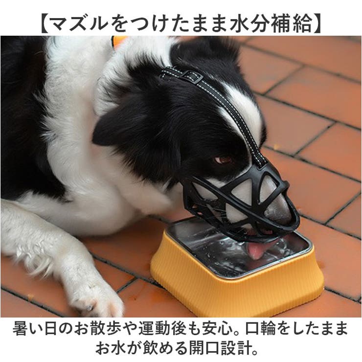 犬 口輪 マズル | BACKYARD FAMILY | 詳細画像6 