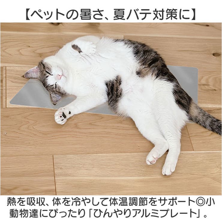 ペット