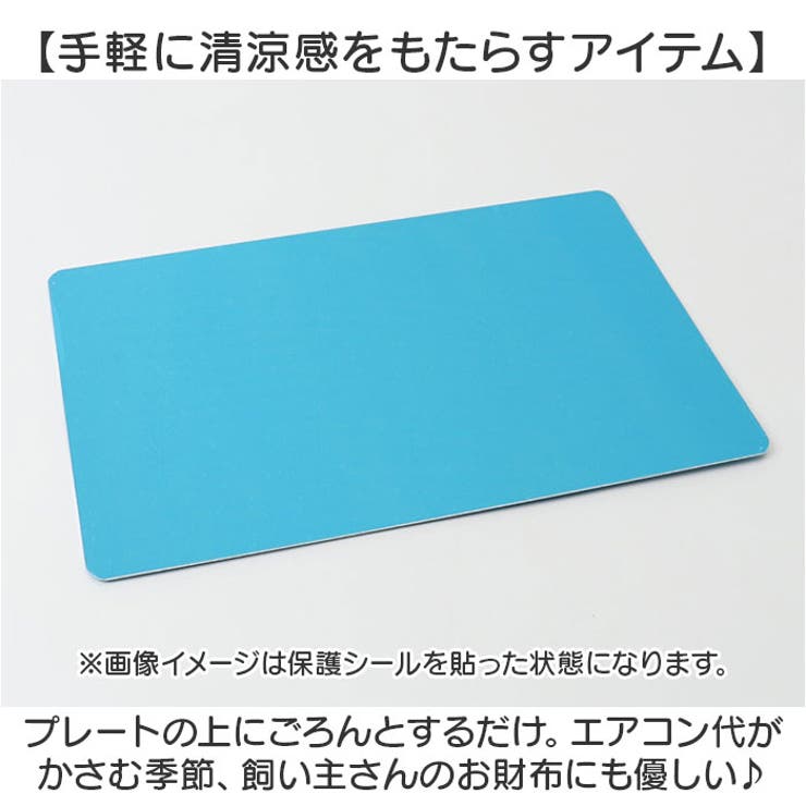 ペット