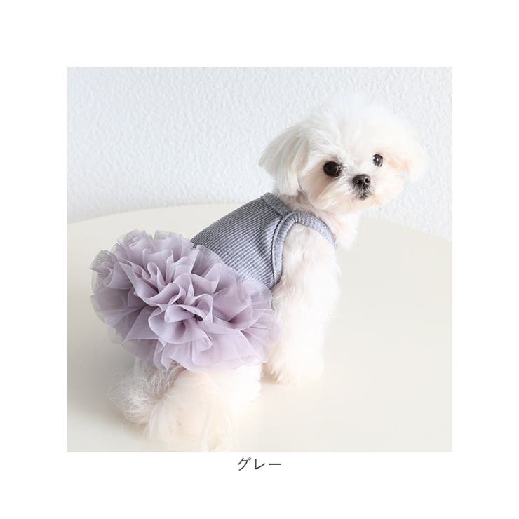 犬