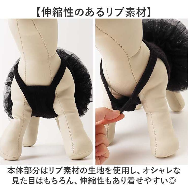 犬