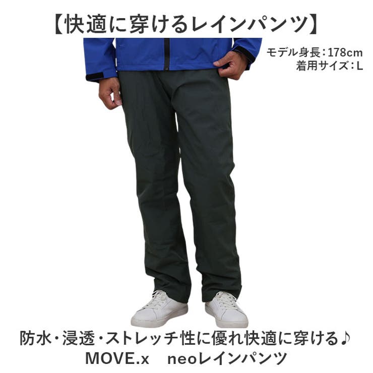 コヤナギ