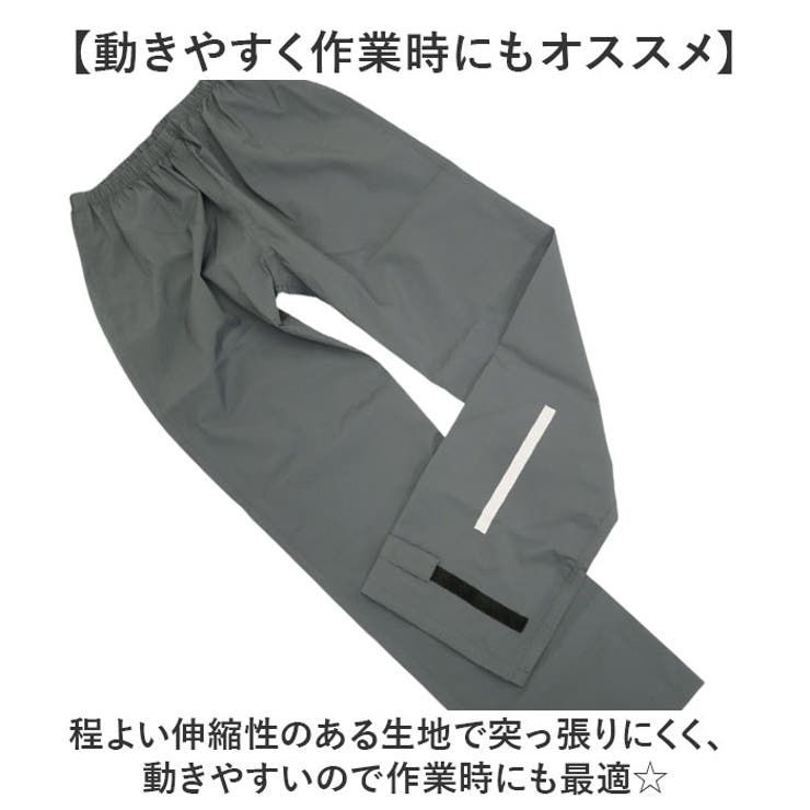 コヤナギ