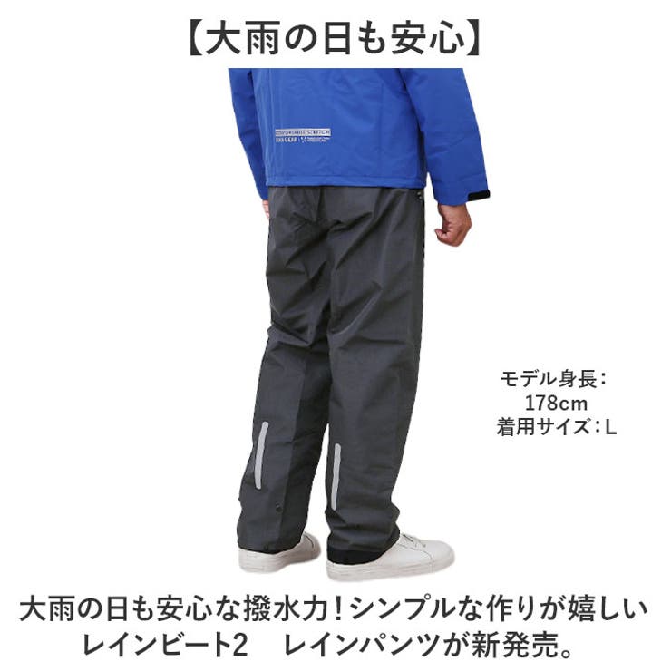 コヤナギ