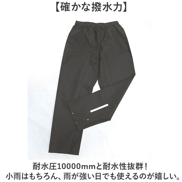 コヤナギ