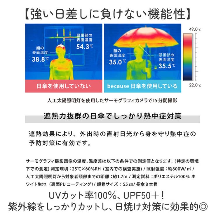 because 完全遮光 晴雨兼用折りたたみ傘 | BACKYARD FAMILY | 詳細画像3 