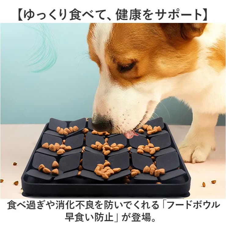 フードボウル 早食い防止 | BACKYARD FAMILY | 詳細画像2 