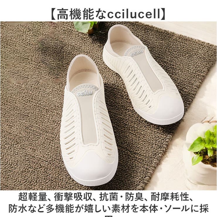 ccilu ABEL ZIV2 ZORA2 | BACKYARD FAMILY | 詳細画像12 