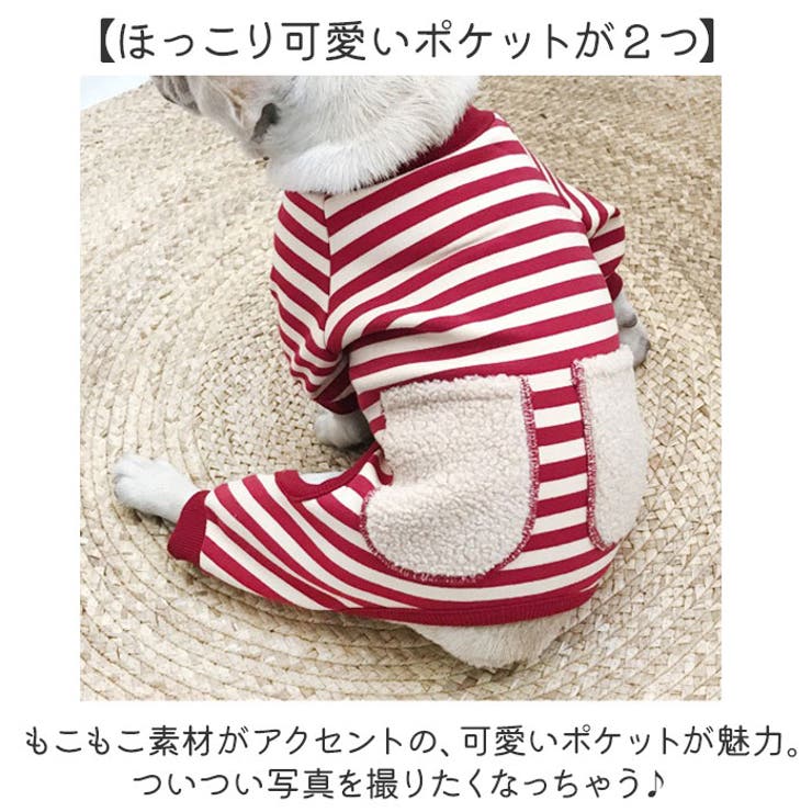 犬服 ドッグウェア 小型中型 | BACKYARD FAMILY | 詳細画像9 