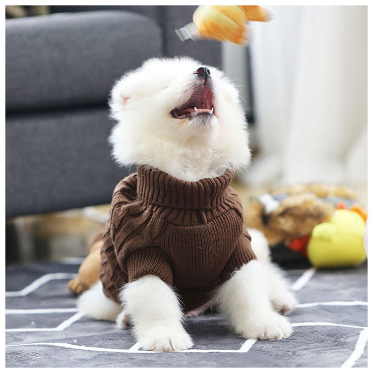 ペット用ニット gw30 | BACKYARD FAMILY | 詳細画像4 