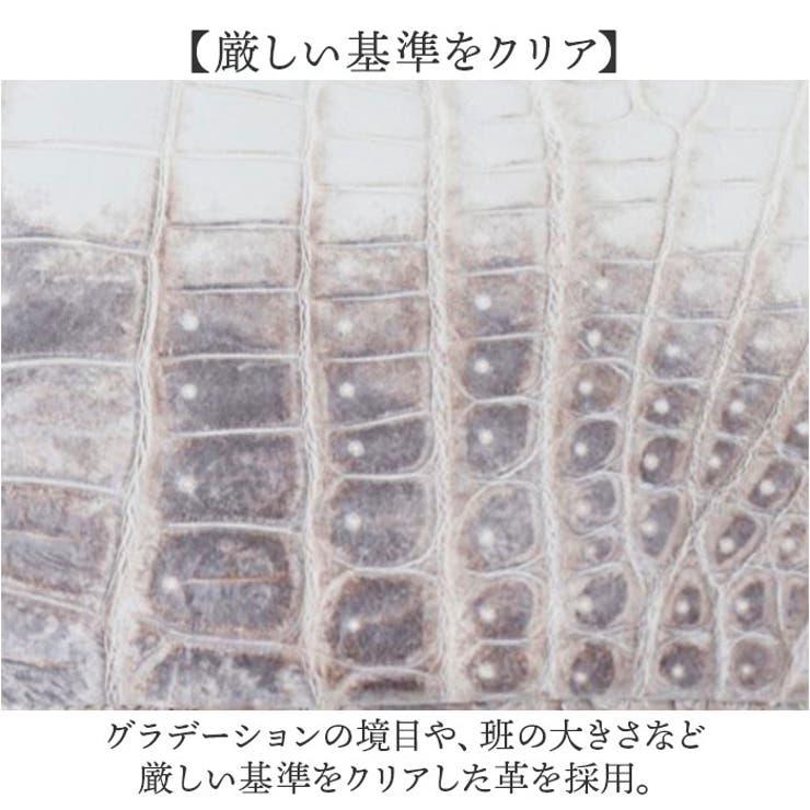 ZOO ナイルクロコ革 マルチケース | BACKYARD FAMILY | 詳細画像5 