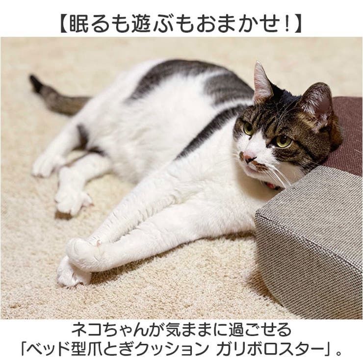 ベッド型爪とぎクッション ガリボロスター | BACKYARD FAMILY | 詳細画像2 