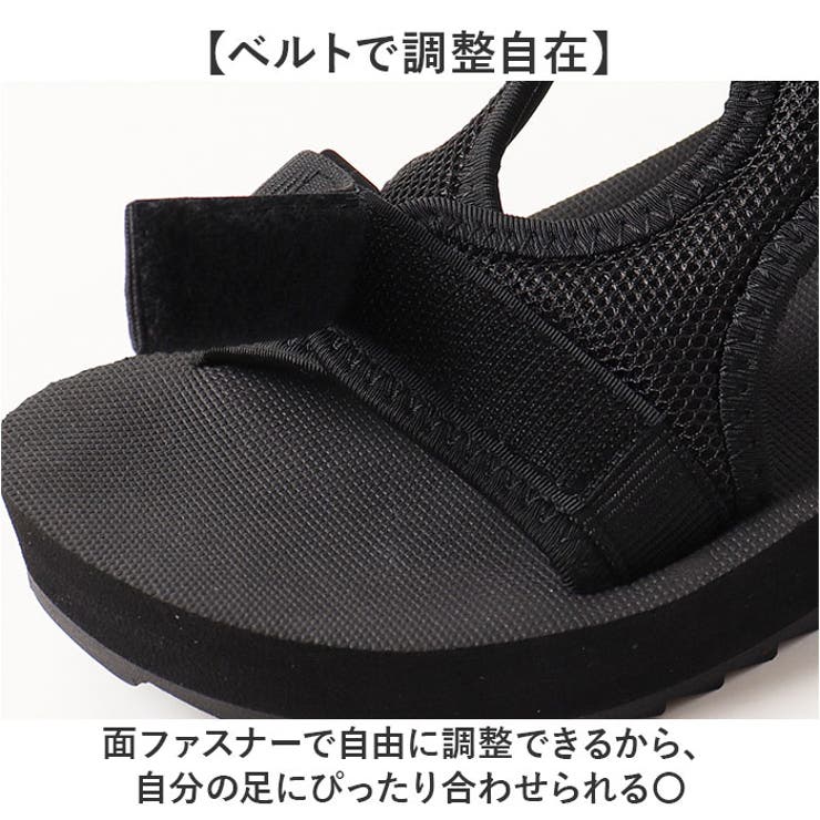 Arnie Arnold Palmer | BACKYARD FAMILY | 詳細画像6 