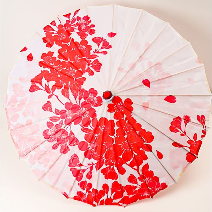 和傘 和風 撮影 | BACKYARD FAMILY | 詳細画像7 