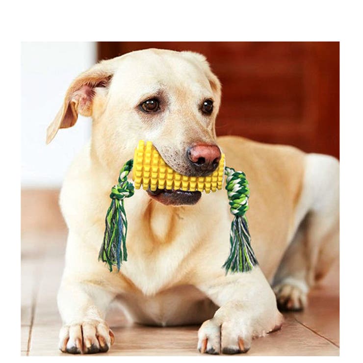 犬用噛むおもちゃ Corn01 品番 yw Backyard Family バックヤードファミリー のレディースファッション通販 Shoplist ショップリスト