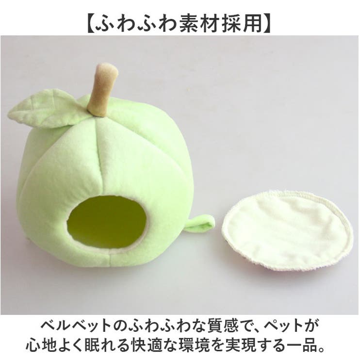 ハムスター ハウス フクロモモンガ | BACKYARD FAMILY | 詳細画像7 