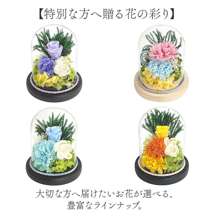 和風ガラスドーム | BACKYARD FAMILY | 詳細画像7 